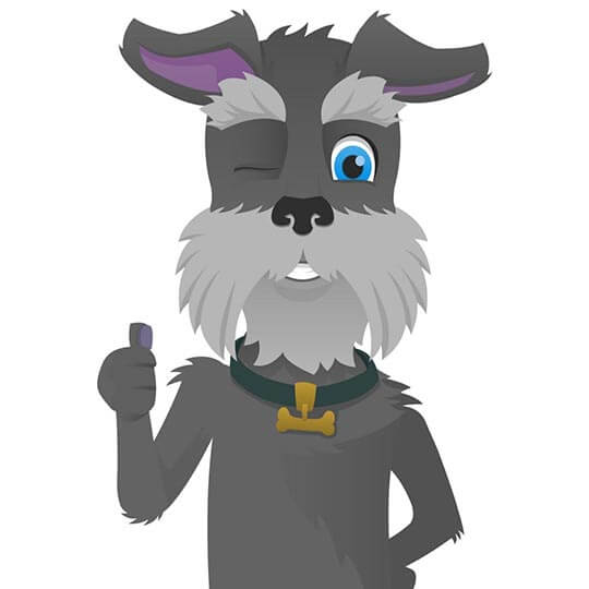 Illustration of a Schnauzer shows thumbs up.